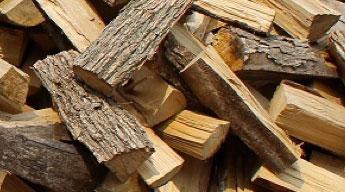 pile of firewood 