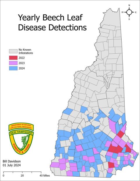 beech leaf disease detection map by year