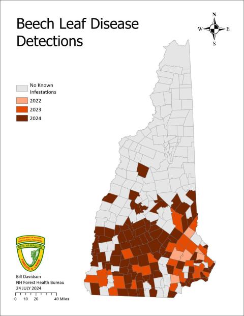 beech leaf disease detection map by year