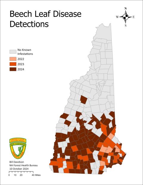 beech leaf disease map updated October 2024. Areas of detection are highlighted in red.