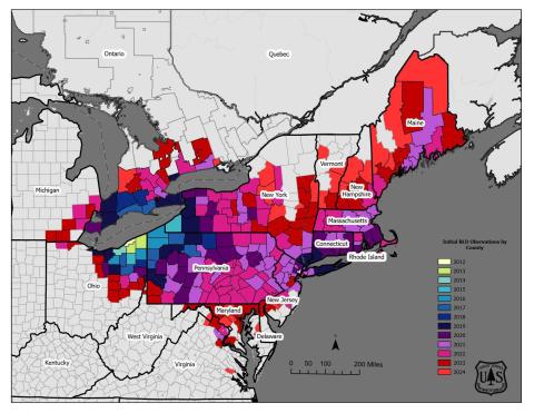 beech leaf disease map updated December 2024. Areas of detection are highlighted in red.