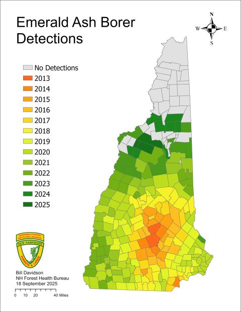emerald ash borer detection heat map 2025